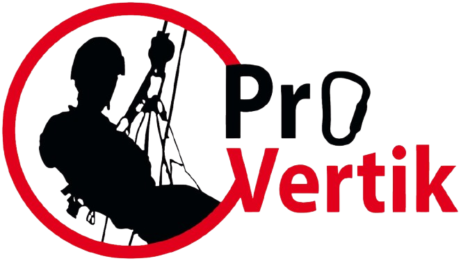 Logo-Provertik-footer